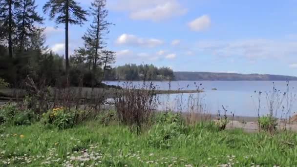 Vatten och himmel längs pacific northwest strandlinje — Stockvideo