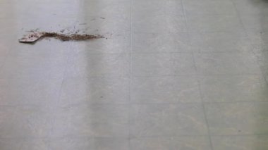 bir yığın içine süpürme kir