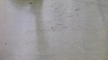 düzgün bir yığın içine süpürme kir