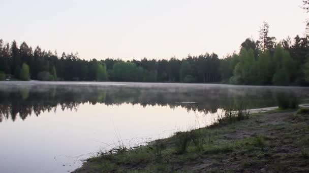 brouillard tourbillonnant sur un lac calme 