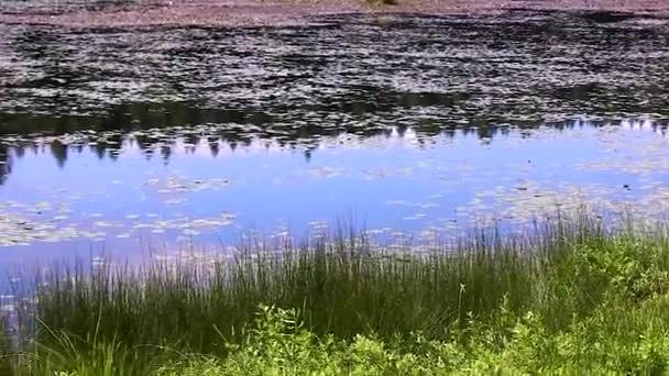 Céu refletido em uma lagoa — Vídeo de Stock