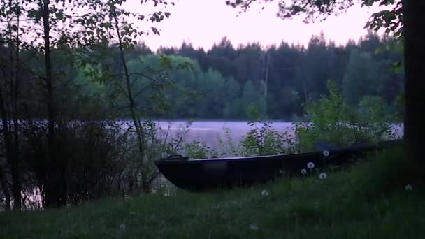 Fog on lake with boat — Stock Video