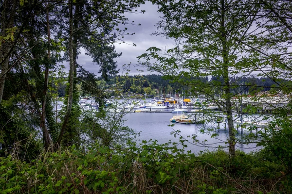 Separarsi tra gli alberi rivelando un lago — Foto Stock