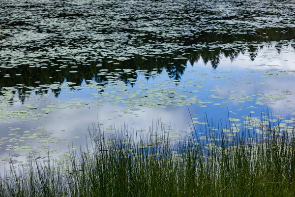 Clous e árvores refletidas no lago — Fotografia de Stock