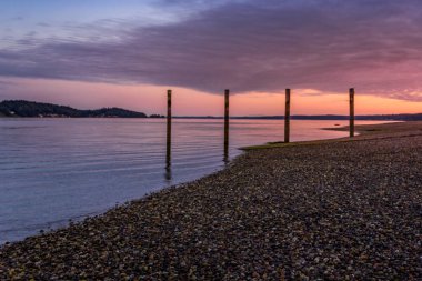gün batımında suda eski direkleri üzerinde martılar
