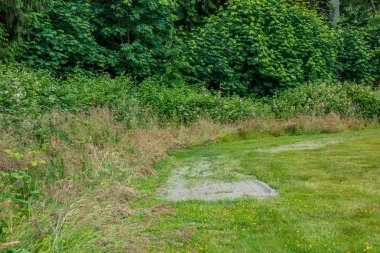 Orman ve alan arasında toprak yol çalışan