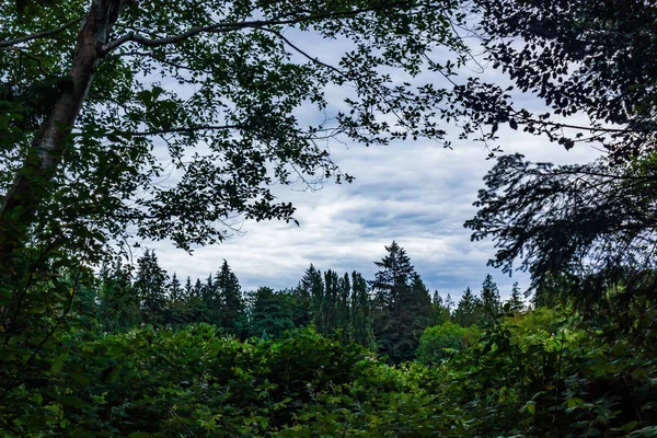 Céu ao entardecer através da separação — Fotografia de Stock