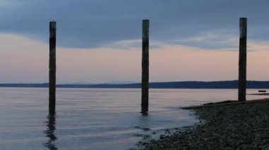 Splash pembe kıyısında