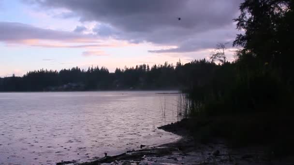 Lluvia que cae sobre un lago — Vídeos de Stock