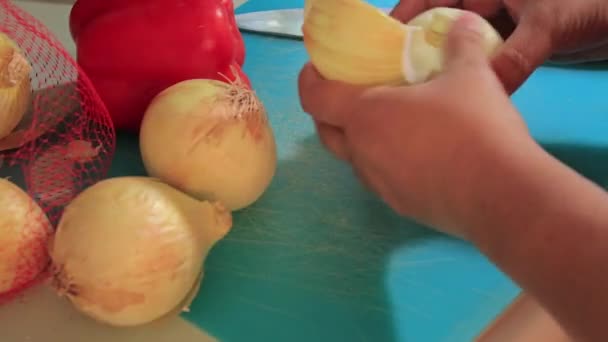 Mãos Preparando Cortando Cebolas Pimentas Vermelhas — Vídeo de Stock