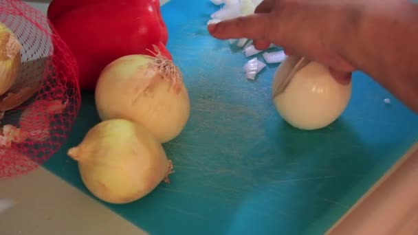 Bir soğan kesmek — Stok video