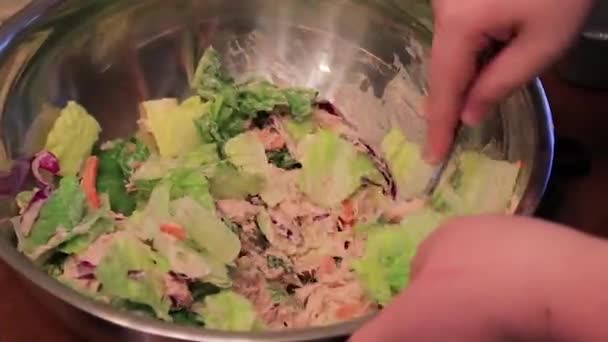 Mengaduk salad ayam — Stok Video