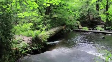 şelale üzerinde tava