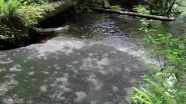 günlük içeren ormandaki şelale