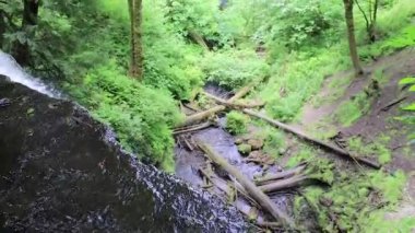 uçurumdan kaydırma orman körük için düşüyor