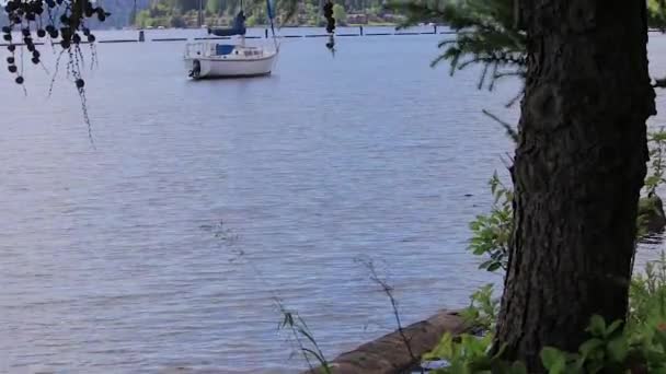 Pannen tot Zie zeilboot op lake washington — Stockvideo