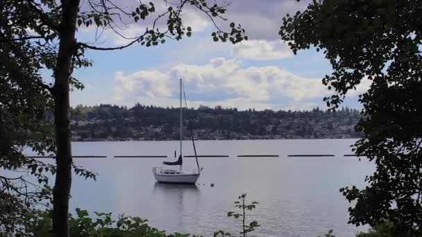 Yelkenli su ve kıyı Gölü Washington — Stok video