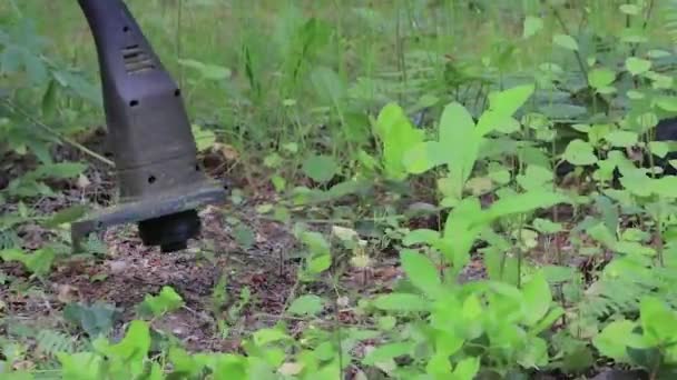 Ogräs wacker skära i trädgården — Stockvideo