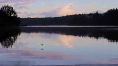 Düz göl üzerinde uçan kuşlar