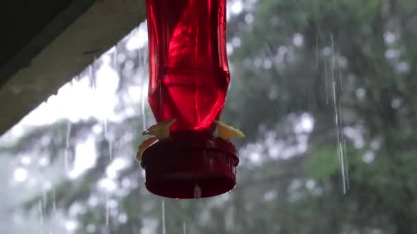 Red hummingbird feeder out in rain — Stock Video