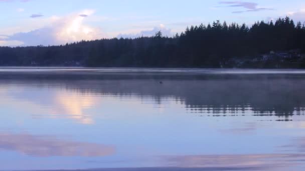 Lago brumoso por la mañana — Vídeo de stock