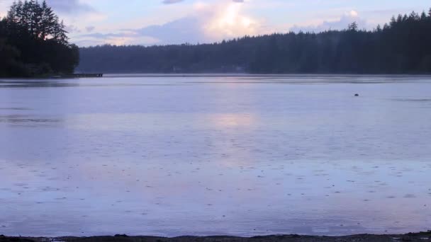 Regn porlande på ytan av en sjö — Stockvideo