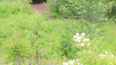 aşağı gölet--dan elma ağacına pan