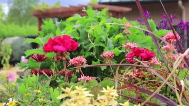 Sardunyalar Park karşısında sola kaydır