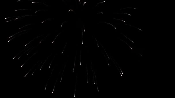 Slightly out of focus fireworks background — Stock Video