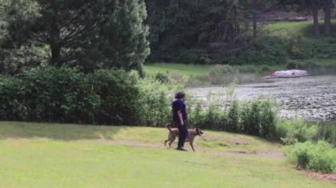 Gölde yürüyen büyük köpek kadınla