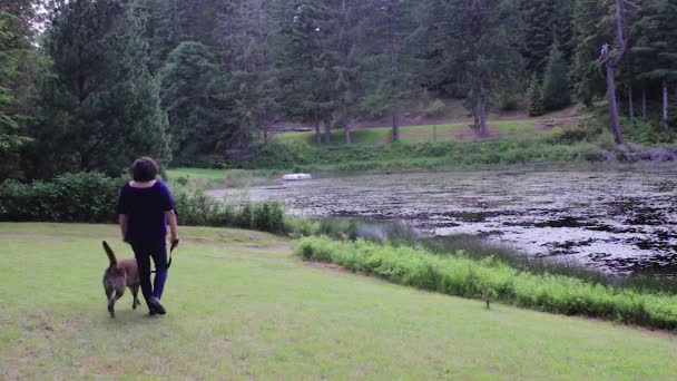 Femme Promenant Chien Près Bord Lac — Video