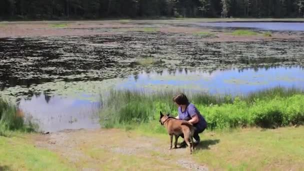 Ung kvinna petting hunden vid sjön — Stockvideo