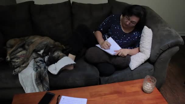 躺在沙发上和狗一起工作 — 图库视频影像