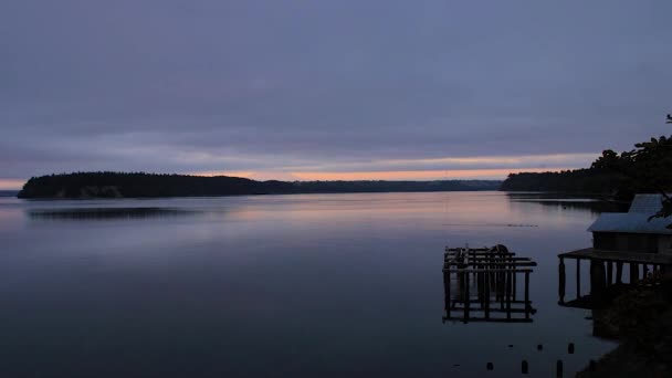 Anatre in fila su un lago — Video Stock