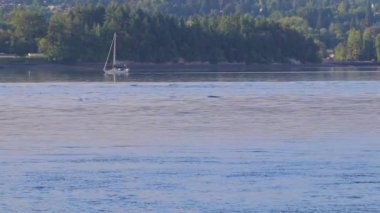 hızlı bir şekilde sabah erken kayma Yelkenli