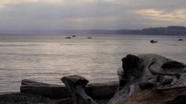 sabah erken tekneler dalgaların karaya attığı odun arkasında