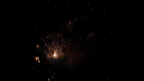 Színes tűzijáték az éjszakai égen — Stock videók