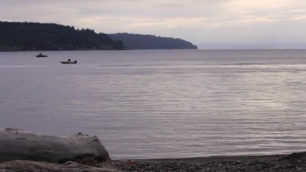 Vários barcos de manhã — Vídeo de Stock