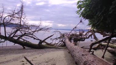 puget ses üzerinde sağdan sola kaydırma