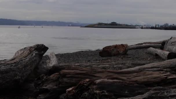 浮木和码头在短 — 图库视频影像