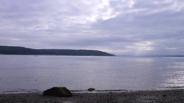 Friedliche Bank des puget sound — Stockvideo