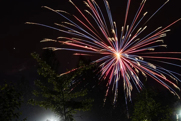 Firworks in a dark sky to celebrate 3 — Stock Photo, Image