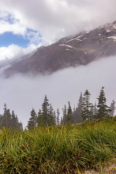 山と雲の前で緑の森 — ストック写真