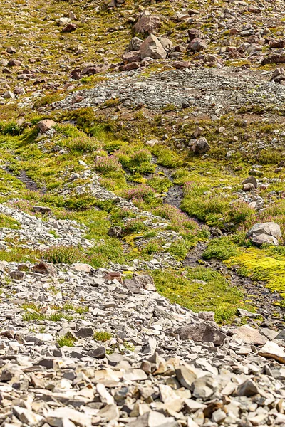 Petit lit de craquement à travers les rochers et l'herbe — Photo