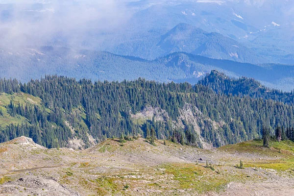 Piedra volcánica cubierta de tierra con exuberantes bosques en el fondo —  Fotos de Stock