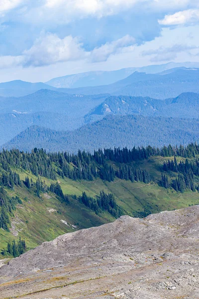 Uitzicht op bergen en weelderige bossen in de buurt van mount rainier — Stockfoto