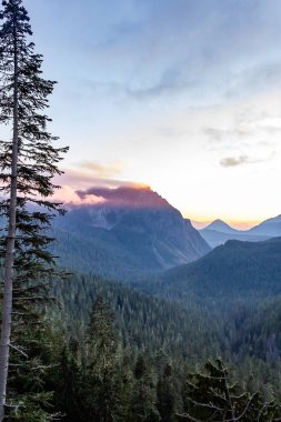 uzun boylu çam ağacı ile bir dağ Güneş adlı ayarla