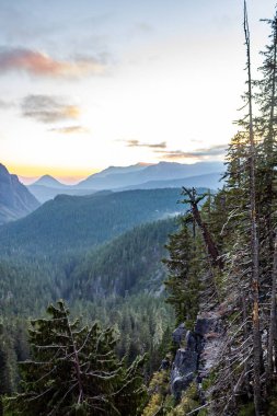ormanlık cliffside ormanlık bir dağ üzerinde