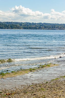 parlak dalgaların çakıl shore dökme