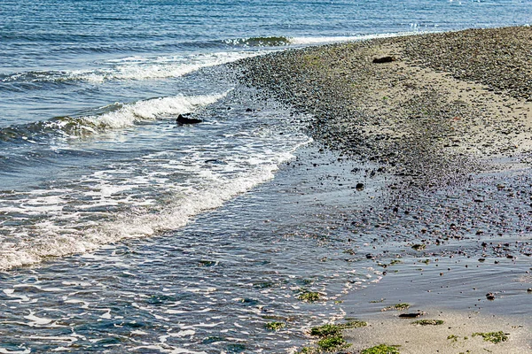 Onde blu brillante dell'oceano che scorrono su una riva di ghiaia — Foto Stock